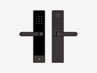 Intelligent door lock